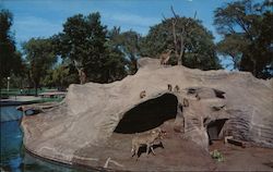 Monkey Island at the Racine Zoological Park Postcard