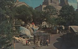Children's Zoo in Central Park Postcard
