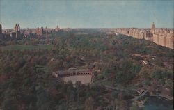 Stock #973613 Thumbnail