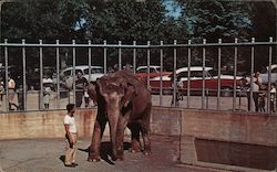 Elephant in Roger Williams Park Providence, RI Postcard Postcard Postcard
