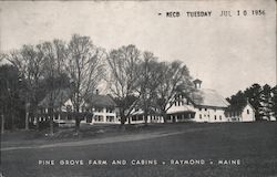 Pine Grove Farm and Cabins Postcard