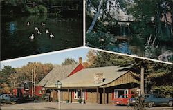 the Old Forge Restaurant Postcard