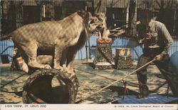 Stock #973883 Thumbnail