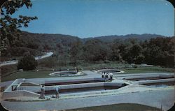 New York State Fish Hatchery Postcard