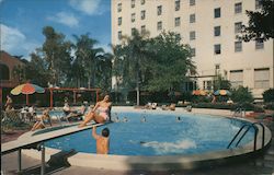 Harrison Hotel Clearwater, FL Postcard Postcard Postcard