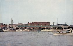 The Marina Postcard