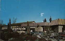 Thunderbird Motel & Restaurant Bellevue, WA Postcard Postcard Postcard