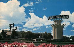 The Tropicana Hotel Postcard