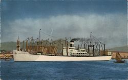 S.S. Pacific Transport, Hong Kong Harbor Postcard