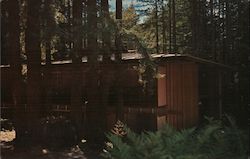 Azalea Lodge Mount Hermon, CA Chas. Pyle Postcard Postcard Postcard