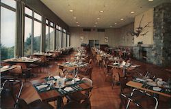 Skyland Dining Room Postcard