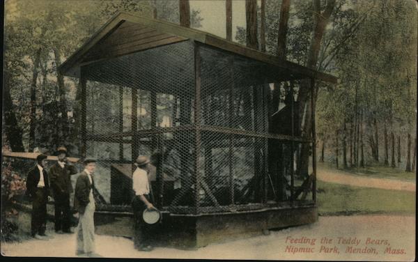 Feeding the Teddy Bears at Nipmuc Park Mendon Massachusetts