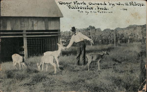 Deer Park Owned by Wm. H. Peters Vallonia Indiana
