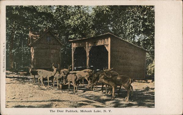 The Deer Paddock Mohonk Lake New York