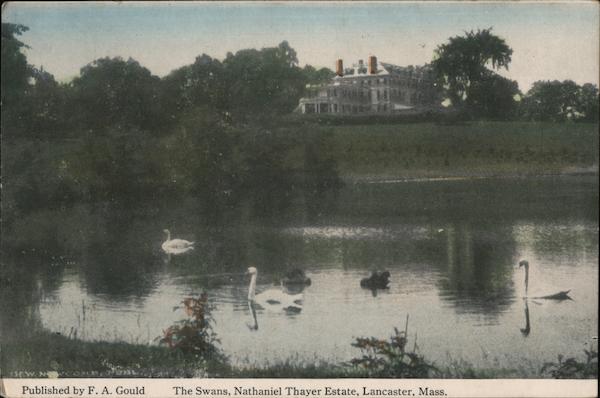 The Swans, Nathaniel Thayer Estate Lancaster Massachusetts