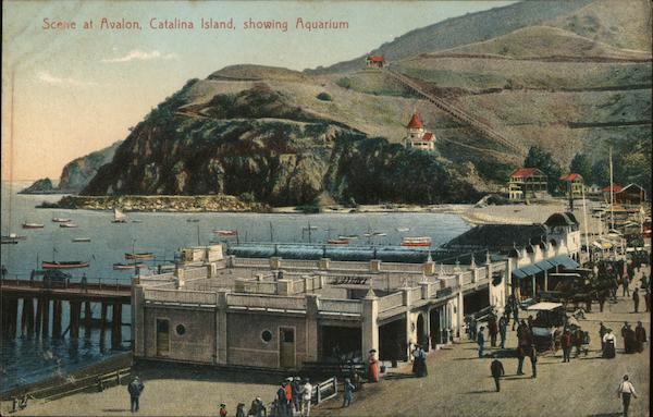 Scene at Avalon, Showing Aquarium Santa Catalina Island California