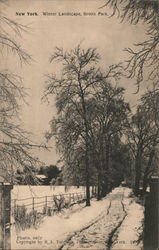 Winter Landscape, Bronx Park Postcard