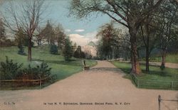 In the New York Botanical Gardens, Bronx Park Postcard Postcard Postcard