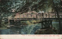View of Bridge near Bronx Falls Postcard