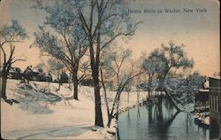 Bronx River in Winter New York Postcard Postcard Postcard