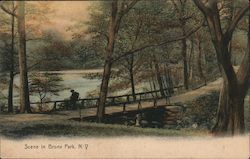 Scene in Bronx Park Postcard