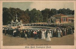 Sea Lion Pool, New York Zoological Park Postcard