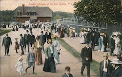 Sunday Afternoon at the Zoo Postcard