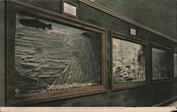 Interior of Aquarium, Belle Isle Park Postcard