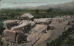 World's Largest Pigeon Ranch from Southern Pacific Co's Train Postcard