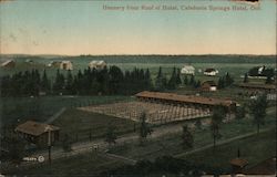 Hennery from Roof of Hotel, Caledonia Springs Hotel Postcard