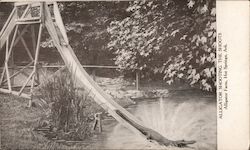 Alligator Shooting The Shoots, Alligator Farm Postcard