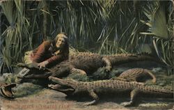 South Beach Alligator Farm Florida Alligators Postcard Postcard Postcard