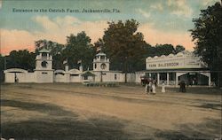 Entrance to the Ostrich Farm Postcard