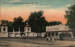 Entrance to Ostrich Farm Postcard