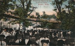 Watching Bears at Zoo, Franklin Park Boston, MA Postcard Postcard Postcard