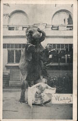 Waddy the Elephant Postcard