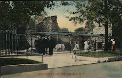 Bear Pits at the Zoo Postcard