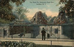 The Bear Pit at Delaware Park Zoo Postcard