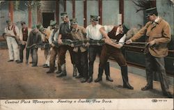 Central Park Menagerie, Feeding a Snake Postcard