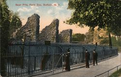 Bear Pits at the Park Zoo Postcard