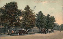 Scene at the Zoo, Delaware Park Postcard
