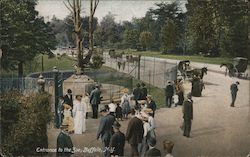 Entrance to the Zoo Postcard