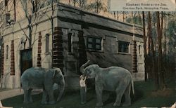 Elephant House at the Zoo in Overton Park Postcard