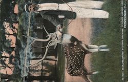 Stock #974974 Thumbnail