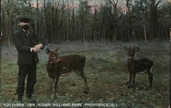 Stock #974975 Thumbnail