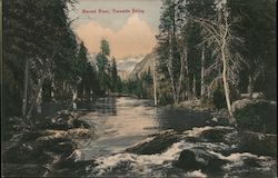 Merced River, Yosemite Valley Yosemite National Park Postcard Postcard Postcard