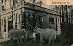 Elephant House at the Zoo in Overton Park Memphis, TN Postcard Postcard Postcard