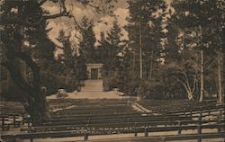Forest Theatre Postcard