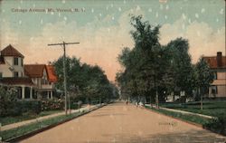 Cottage Avenue Postcard