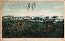 Old Orchard Postcard